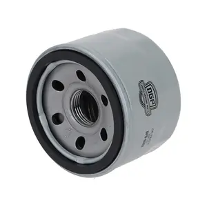 Filtro de Aceite W6002 DGP
