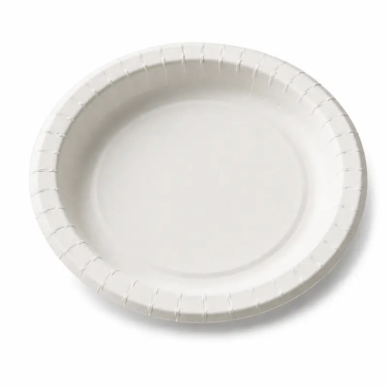 Plato De Carton 22cm 100% Biodegradables Paquete 20 Unidades