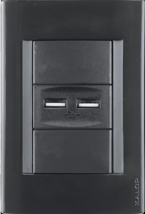Enchufe USB doble cargador embutido negro