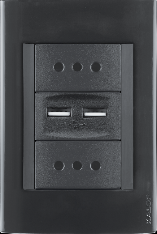 Tomacorriente doble con 2 puertos USB 10A negro